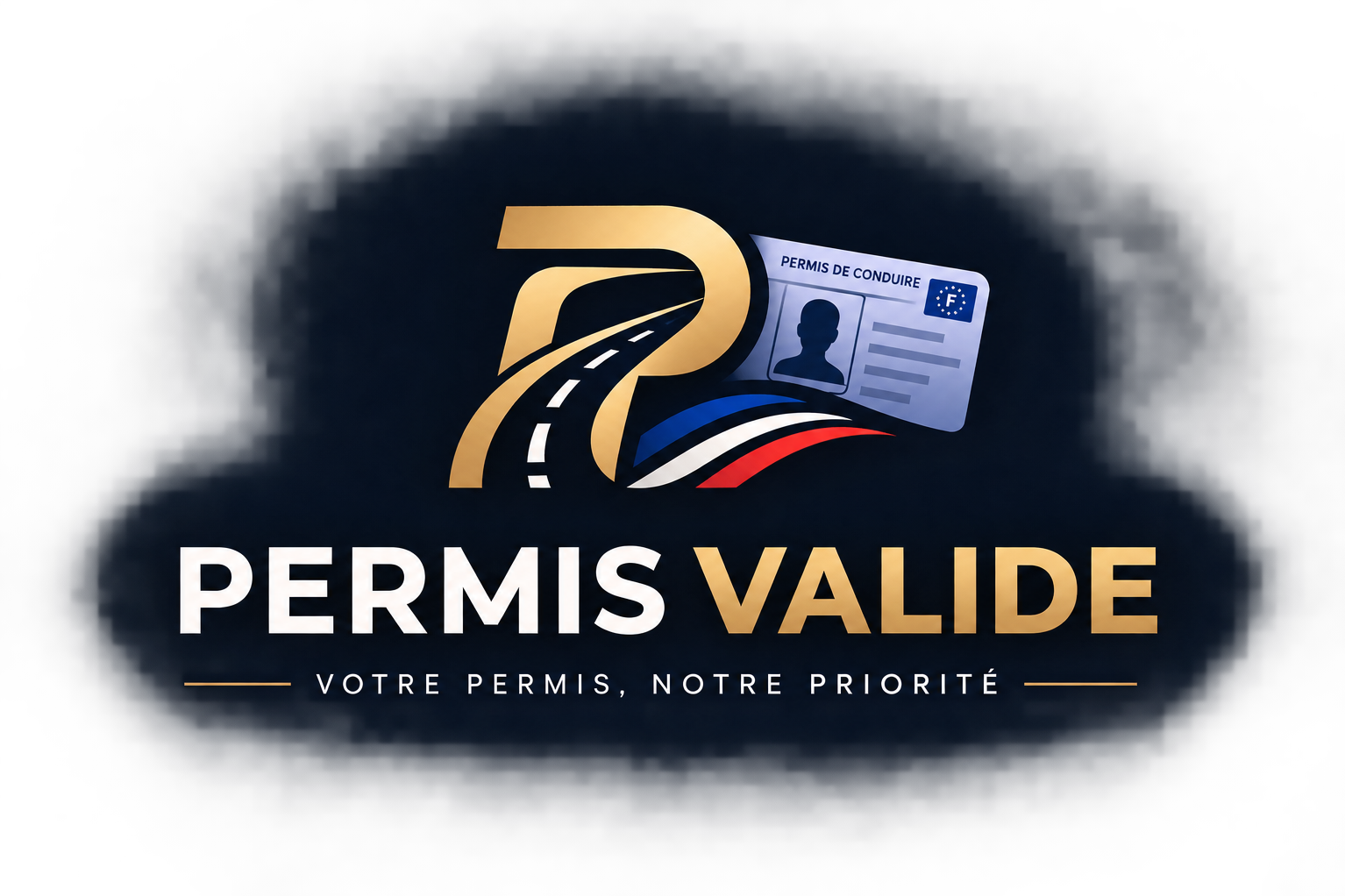 PERMIS-VALID LOGO